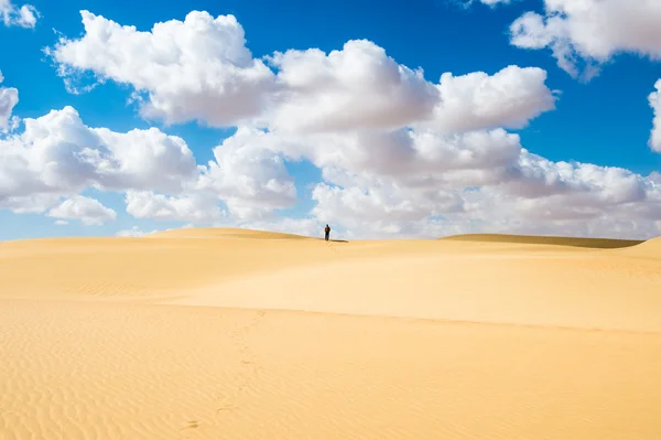 Öken i Egypten — Stockfoto