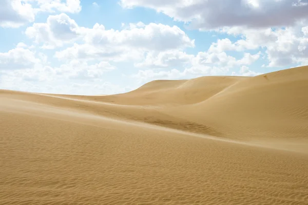 Öken i Egypten — Stockfoto