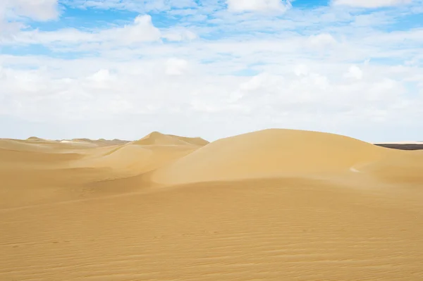 Öken i Egypten — Stockfoto