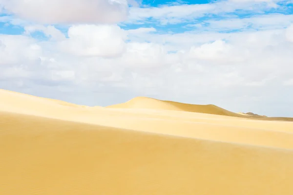 Wüste in Ägypten — Stockfoto