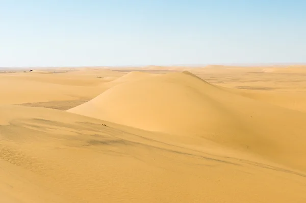 Desert in Egypt — Stock Photo, Image