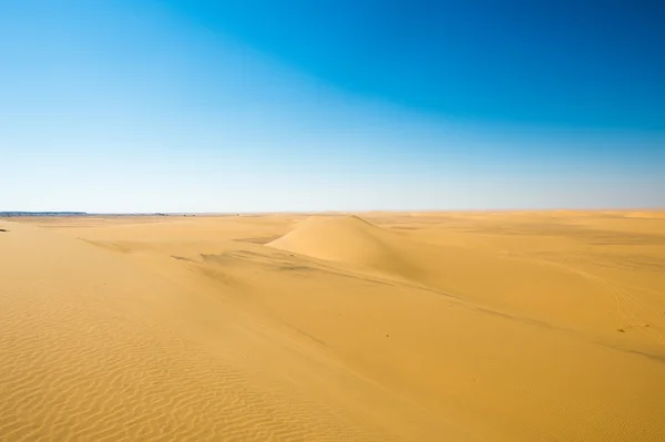 Desert in Egypt — Stock Photo, Image