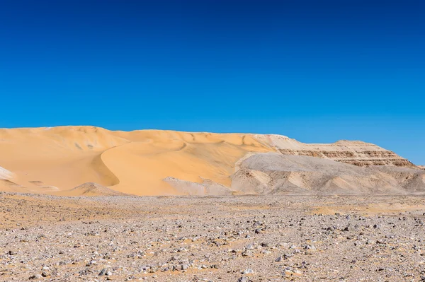 在埃及沙漠 — 图库照片