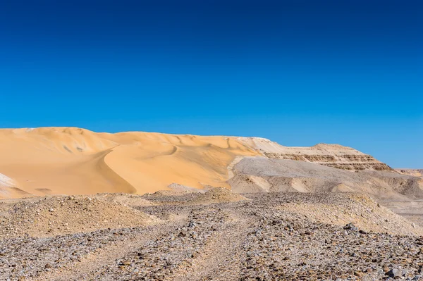 Desert in Egypt — Stock Photo, Image