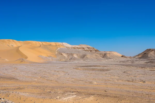 Öken i Egypten — Stockfoto