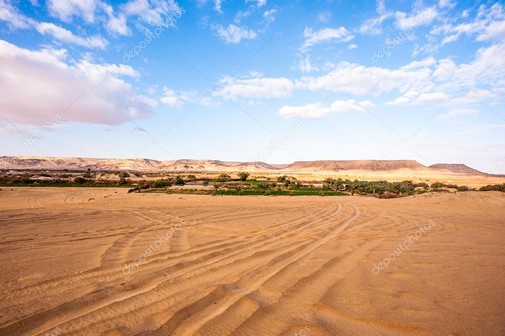 The Bahariya Oasis in Egypt