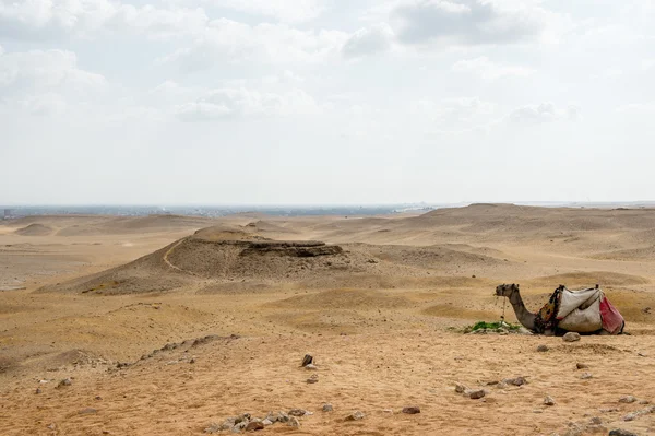 Giza nekropol, Giza Yaylası, Mısır. UNESCO Dünya Mirası — Stok fotoğraf