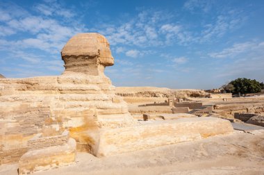 Büyük Sfenks Giza, Giza Yaylası, Mısır