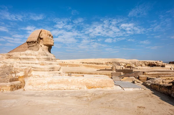 Büyük Sfenks Giza, Giza Yaylası, Mısır — Stok fotoğraf