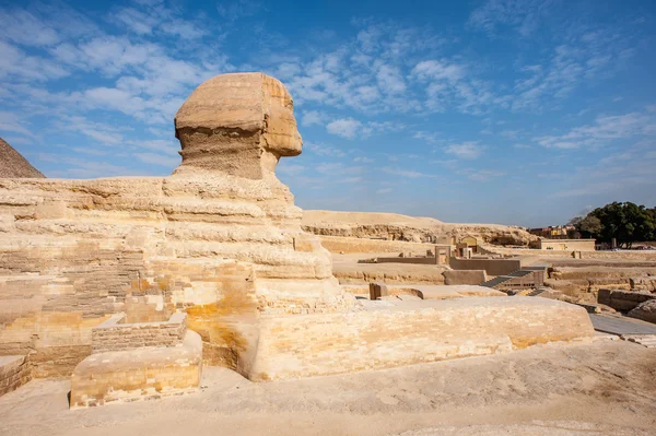 Gran Esfinge de Giza, Meseta de Giza, Egipto — Foto de Stock