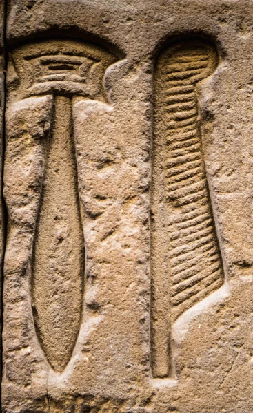 एका मंदिरात भिंतीवर इजिप्शियन हायरोग्लिफ — स्टॉक फोटो, इमेज
