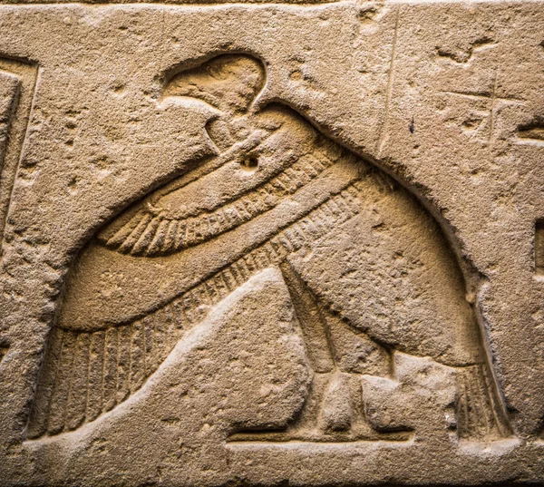 Egyptiska hieroglyfer på väggen i ett tempel — Stockfoto