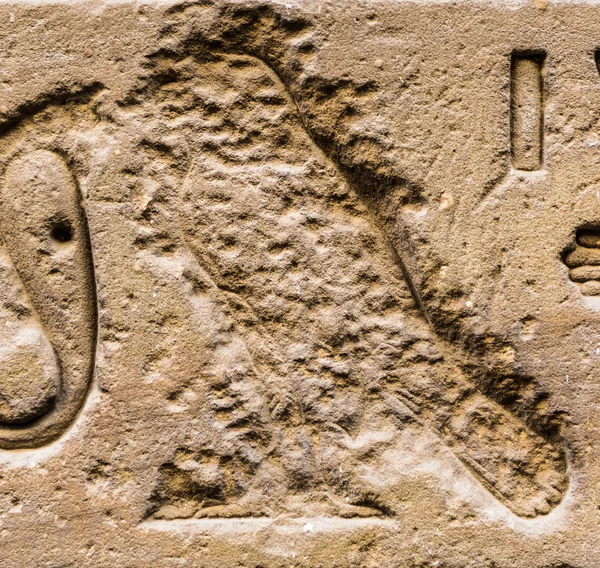 Egyptiska hieroglyfer på väggen i ett tempel — Stockfoto