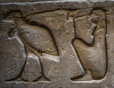 Mısır hiyeroglif bir tapınak duvarındaki