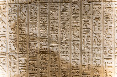 Horus tapınağın Mısır'daki duvarda Mısır hiyeroglif