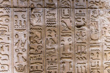 Horus tapınağın Mısır'daki duvarda Mısır hiyeroglif
