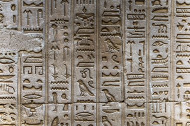 Horus tapınağın Mısır'daki duvarda Mısır hiyeroglif
