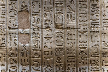 Horus tapınağın Mısır'daki duvarda Mısır hiyeroglif