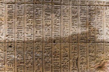 Horus tapınağın Mısır'daki duvarda Mısır hiyeroglif