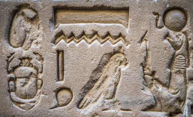 Horus tapınağın Mısır'daki duvarda Mısır hiyeroglif