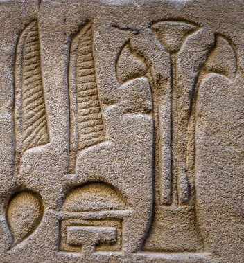 Horus tapınağın Mısır'daki duvarda Mısır hiyeroglif