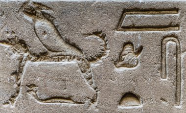 Horus tapınağın Mısır'daki duvarda Mısır hiyeroglif