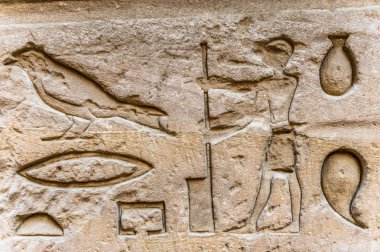 Sobek Tapınağı Kom Ombo, Mısır'daki duvarda Mısır hiyeroglif