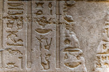 Sobek Tapınağı Kom Ombo, Mısır'daki duvarda Mısır hiyeroglif