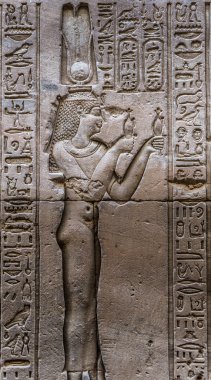 Sobek Tapınağı Kom Ombo, Mısır'daki duvarda Mısır hiyeroglif