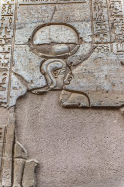 Sobek Tapınağı Kom Ombo, Mısır'daki duvarda Mısır hiyeroglif