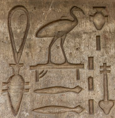 Sobek Tapınağı Kom Ombo, Mısır'daki duvarda Mısır hiyeroglif