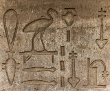 Sobek Tapınağı Kom Ombo, Mısır'daki duvarda Mısır hiyeroglif