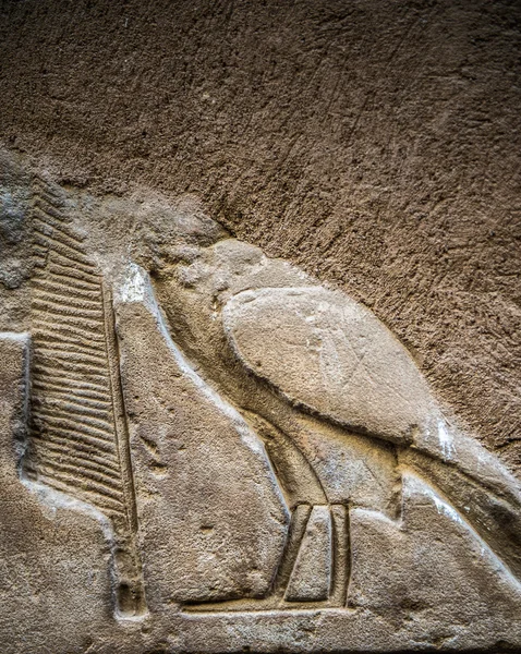 Египетские иероглифы на стене в храме — стоковое фото
