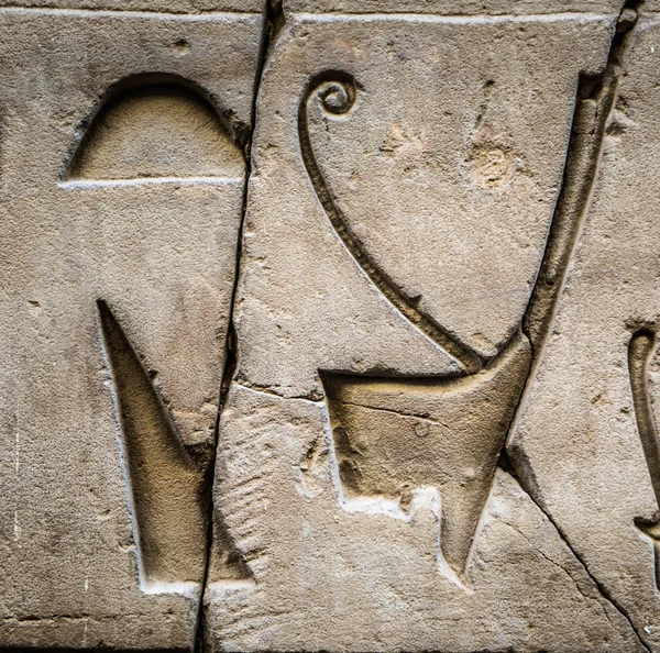 Egyptiska hieroglyfer på väggen i ett tempel — Stockfoto