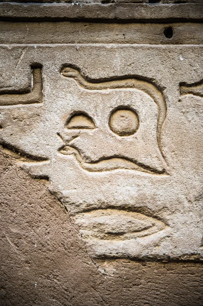 Hiéroglyphes égyptiens sur le mur dans un temple — Photo