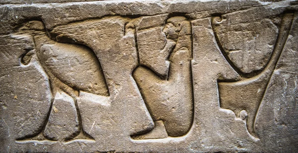 Geroglifici egizi sul muro in un tempio — Foto Stock