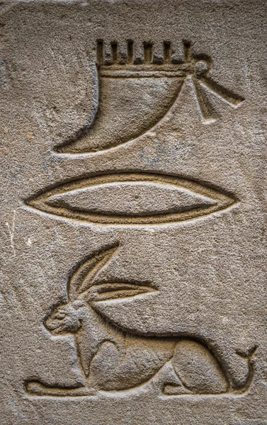 Egyptian hieroglyphs on the wall in a temple — Stock Photo, Image