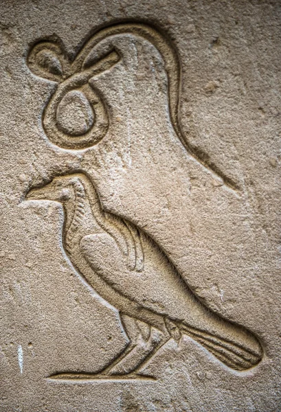 Hiéroglyphes égyptiens sur le mur dans un temple — Photo