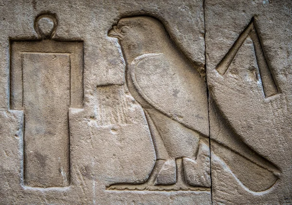 Egyiptomi hieroglifák a falon egy templom — Stock Fotó