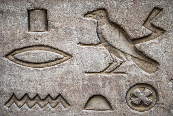 성전에서 벽에 이집트 상형 문자 — 스톡 사진