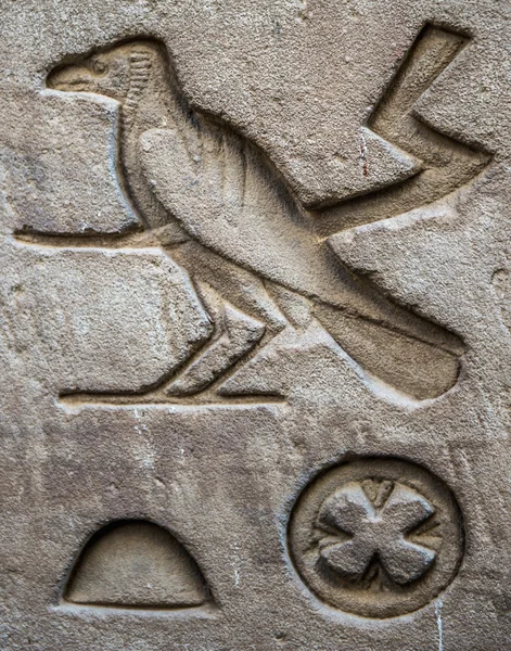 Jeroglíficos egipcios en la pared de un templo —  Fotos de Stock