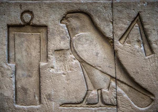 Egyptische hiërogliefen op de muur in een tempel — Stockfoto