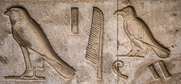 Egyptské hieroglyfy na zdi v chrámu — Stock fotografie