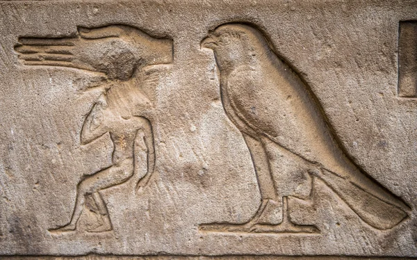 Ägyptische Hieroglyphen an der Wand eines Tempels — Stockfoto