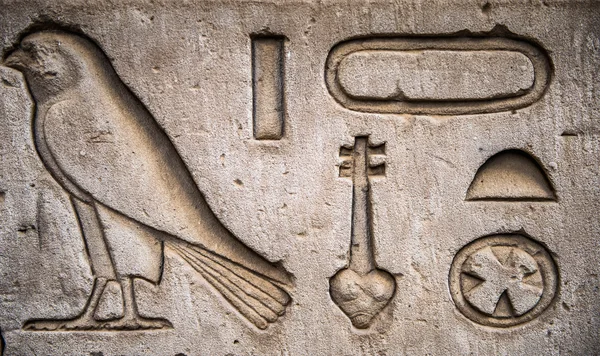 Egyptian hieroglyphs on the wall in a temple — Stock Photo, Image