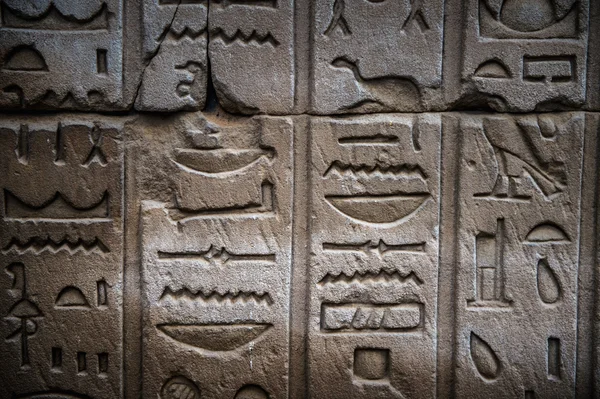 Egyptian hieroglyphs on the wall in a temple — Stock Photo, Image