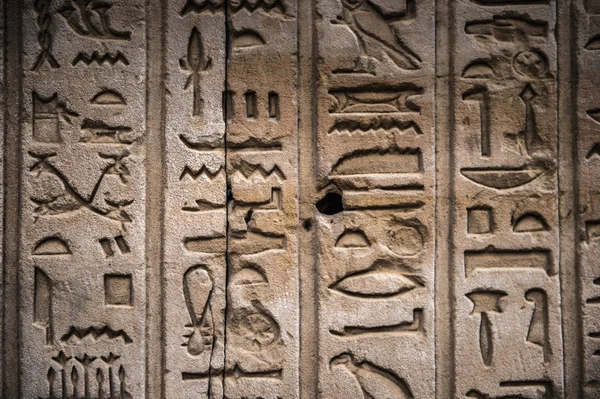 Egyptian hieroglyphs on the wall in a temple — Stock Photo, Image