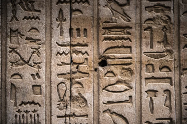 Egyptiska hieroglyfer på väggen i ett tempel — Stockfoto