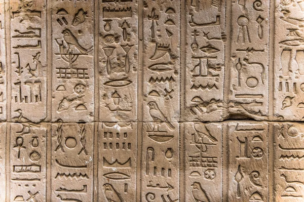 Egyptiska hieroglyfer på väggen i ett tempel — Stockfoto