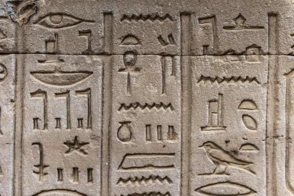 Egyptiska hieroglyfer på väggen i ett tempel — Stockfoto